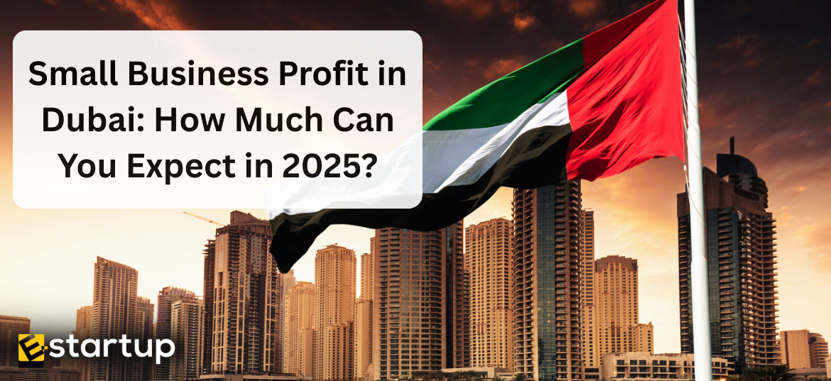 Small Business Profit in Dubai