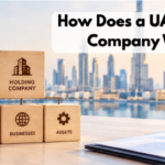 UAE Holding Company Setup: Structure, Benefits & Key Considerations